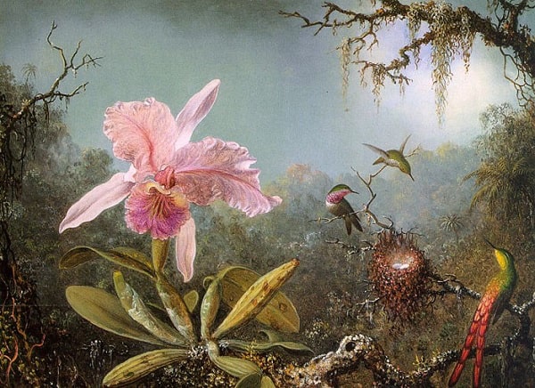 Vẻ đẹp thanh tao của tranh sơn dầu vẽ về hoa lan 4