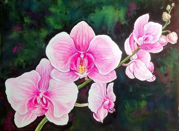 Vẻ đẹp thanh tao của tranh sơn dầu vẽ về hoa lan