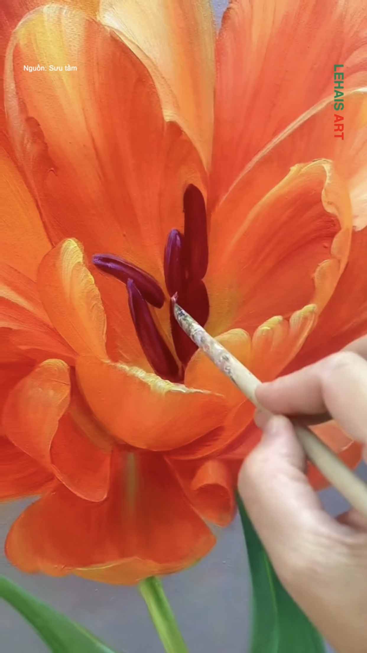 Bông hoa tulip được vẽ thật sinh động