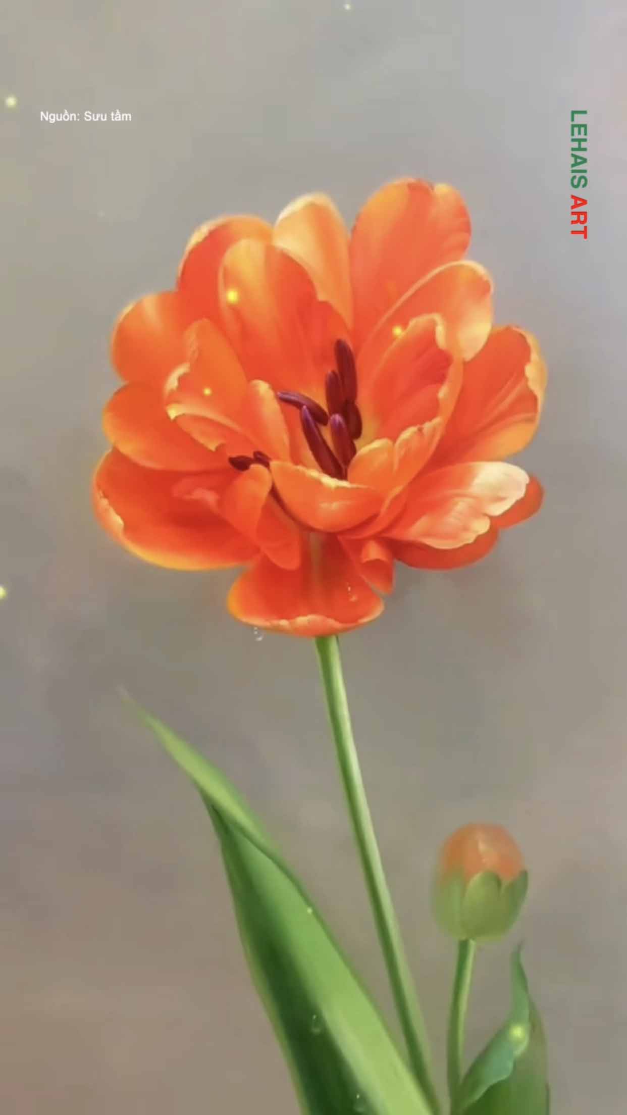 Bông hoa tulip được vẽ thật sinh động 3