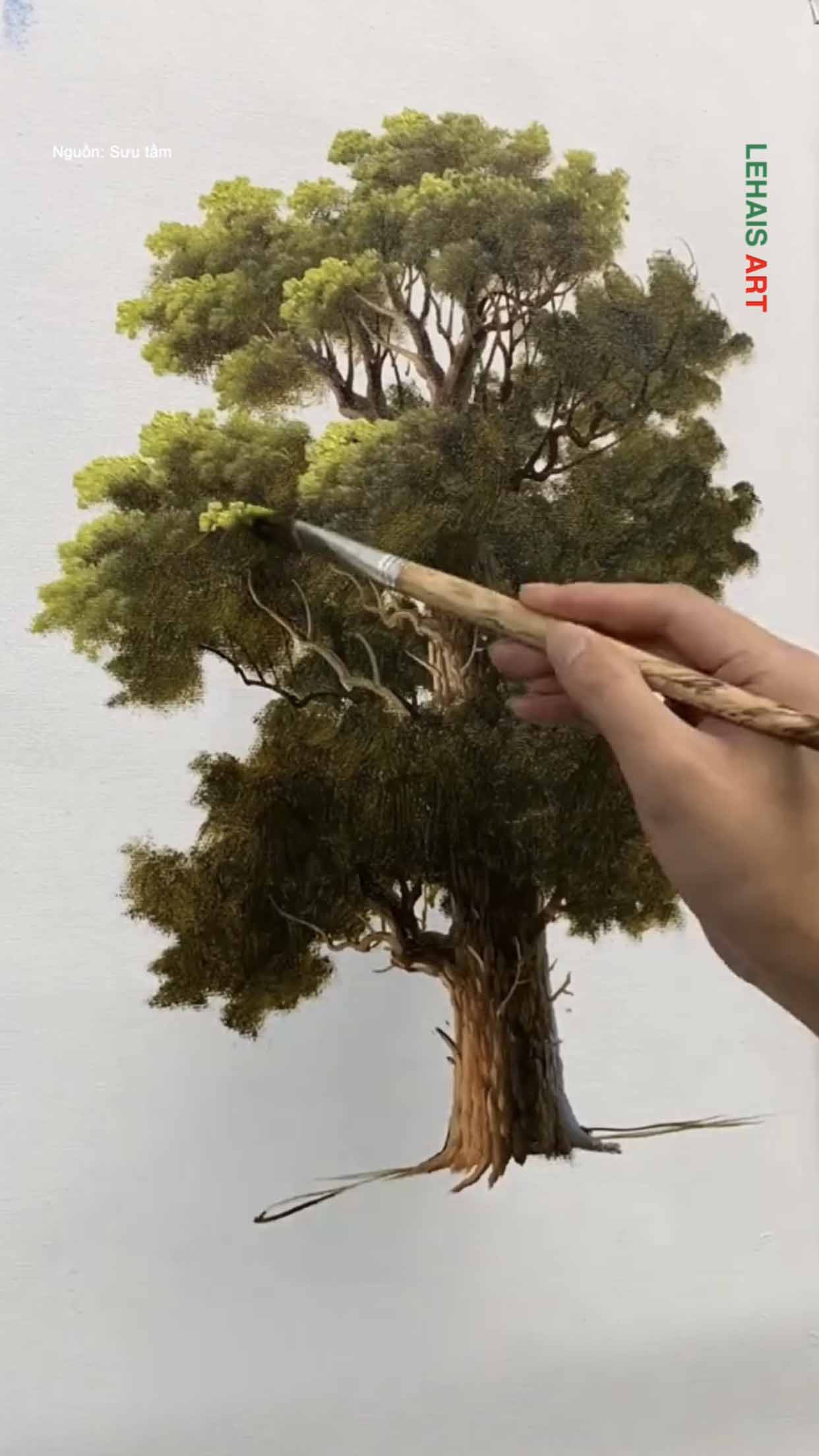 Cách vẽ cây đơn giản nhưng hiệu quả 2