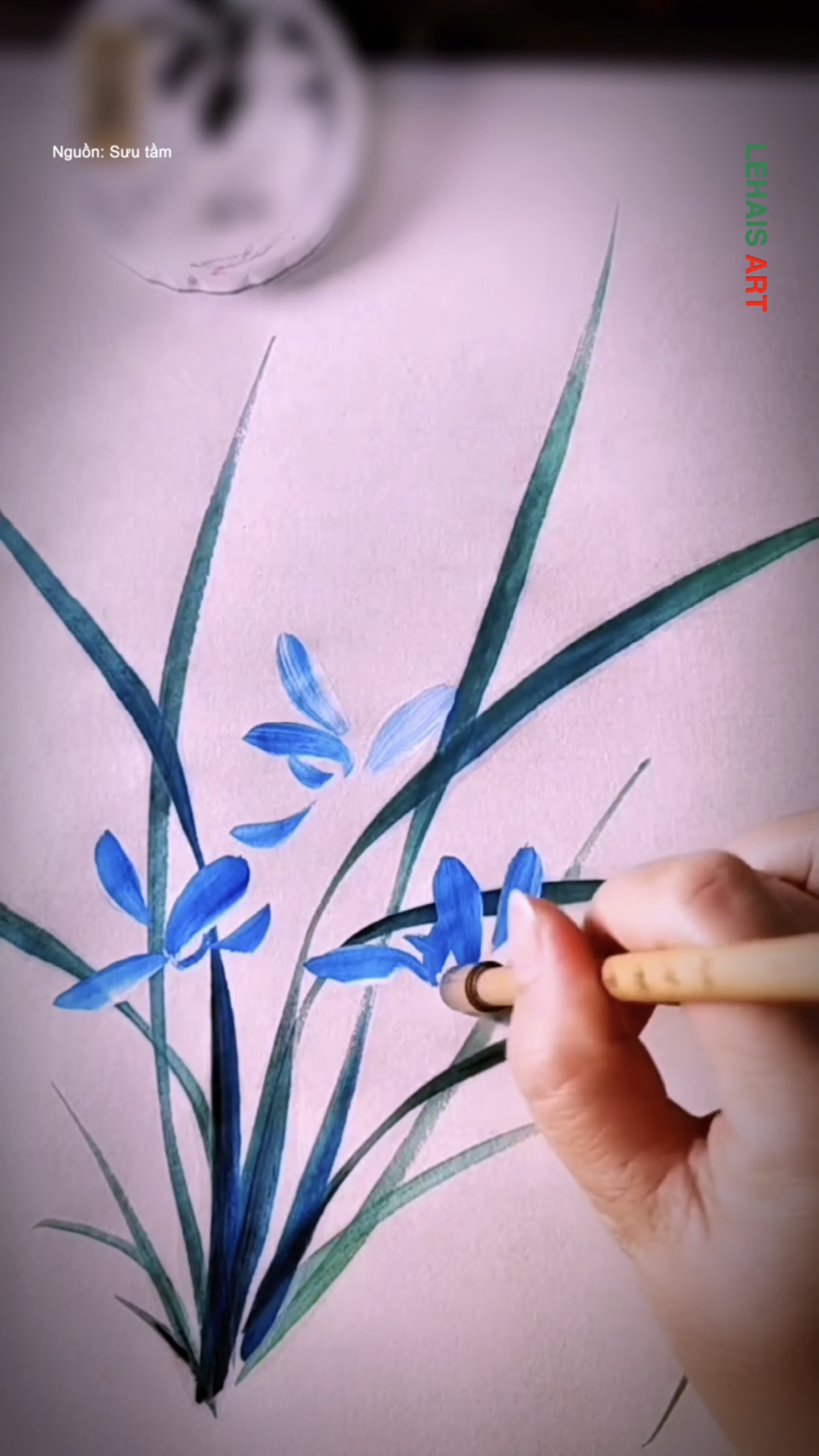 Cách vẽ hoa lan
