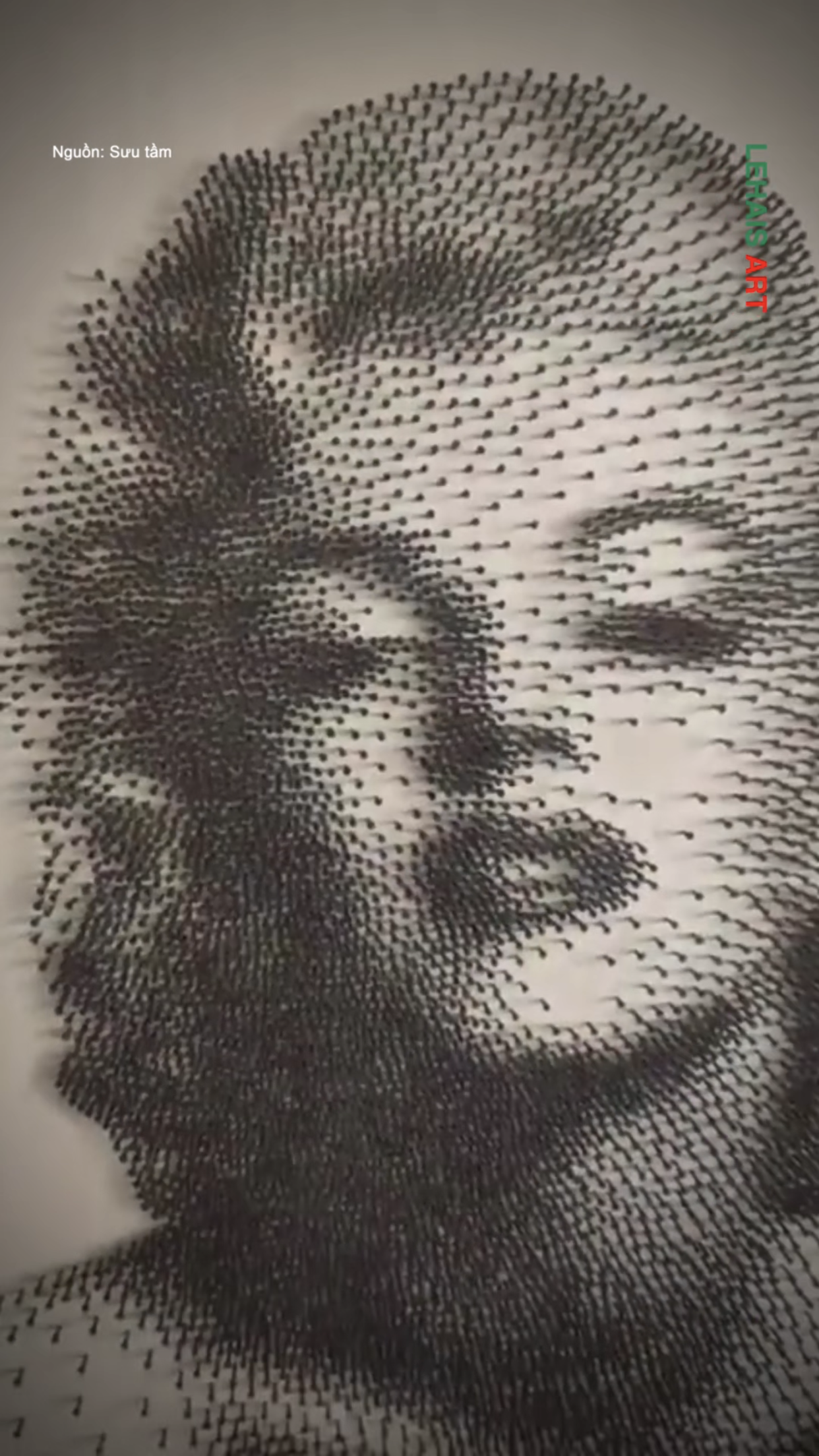 Chân dung Marilyn Monroe được làm từ đinh sắt 1