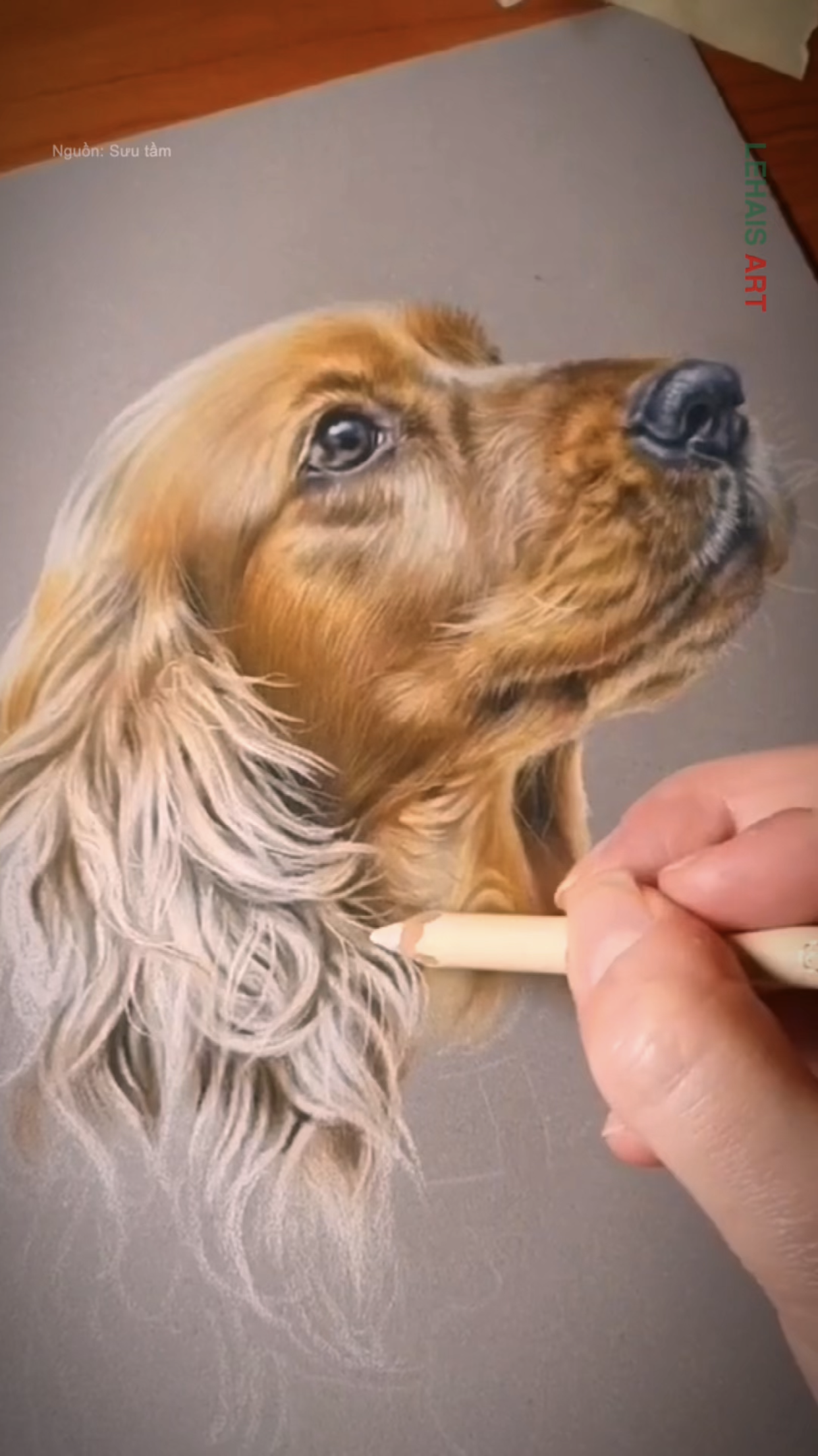 Chú chó được vẽ bằng bút chì màu cực chân thực