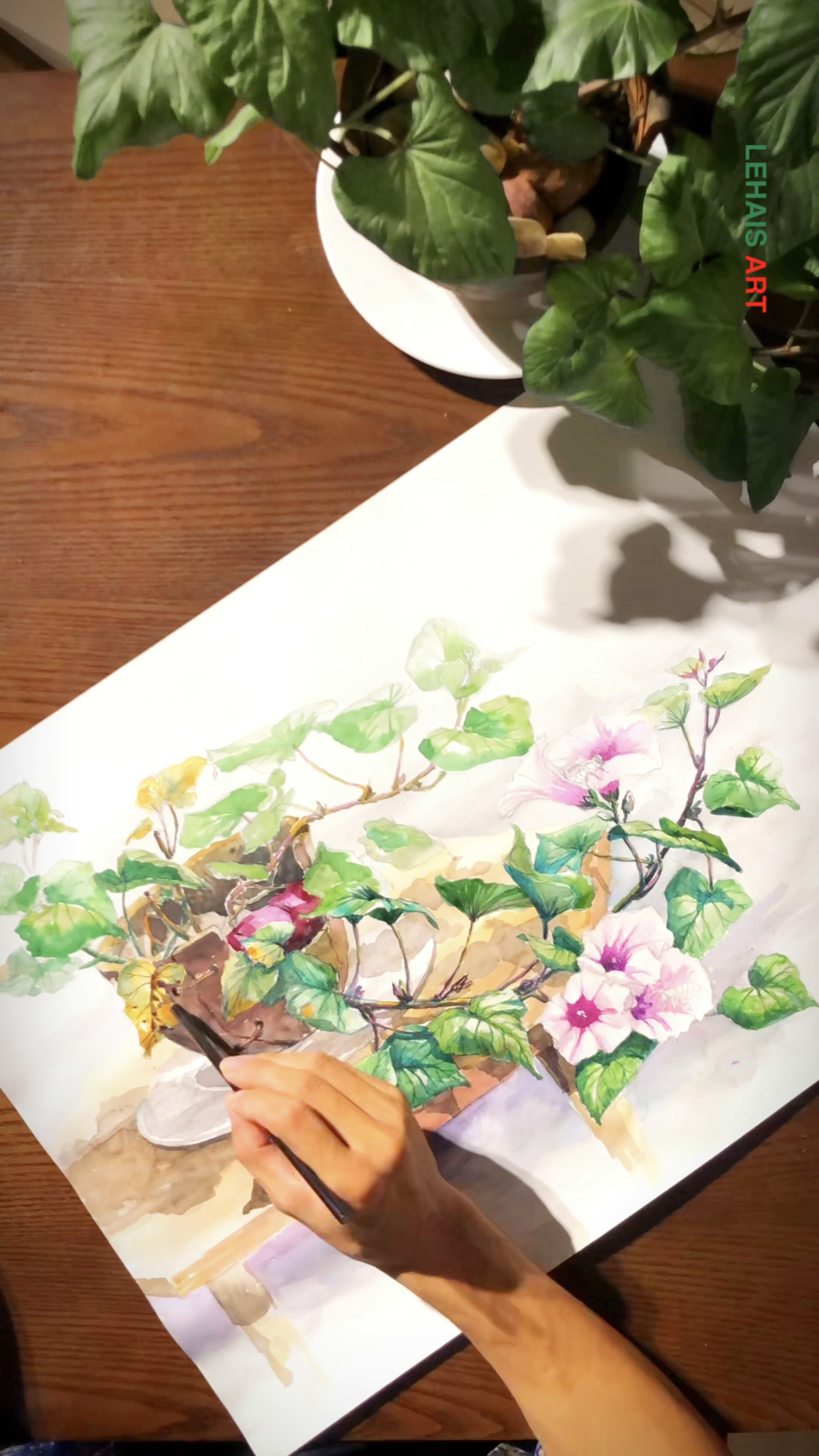 Vẽ hoa khoai lang bằng màu nước với sắc màu tình cảm 2