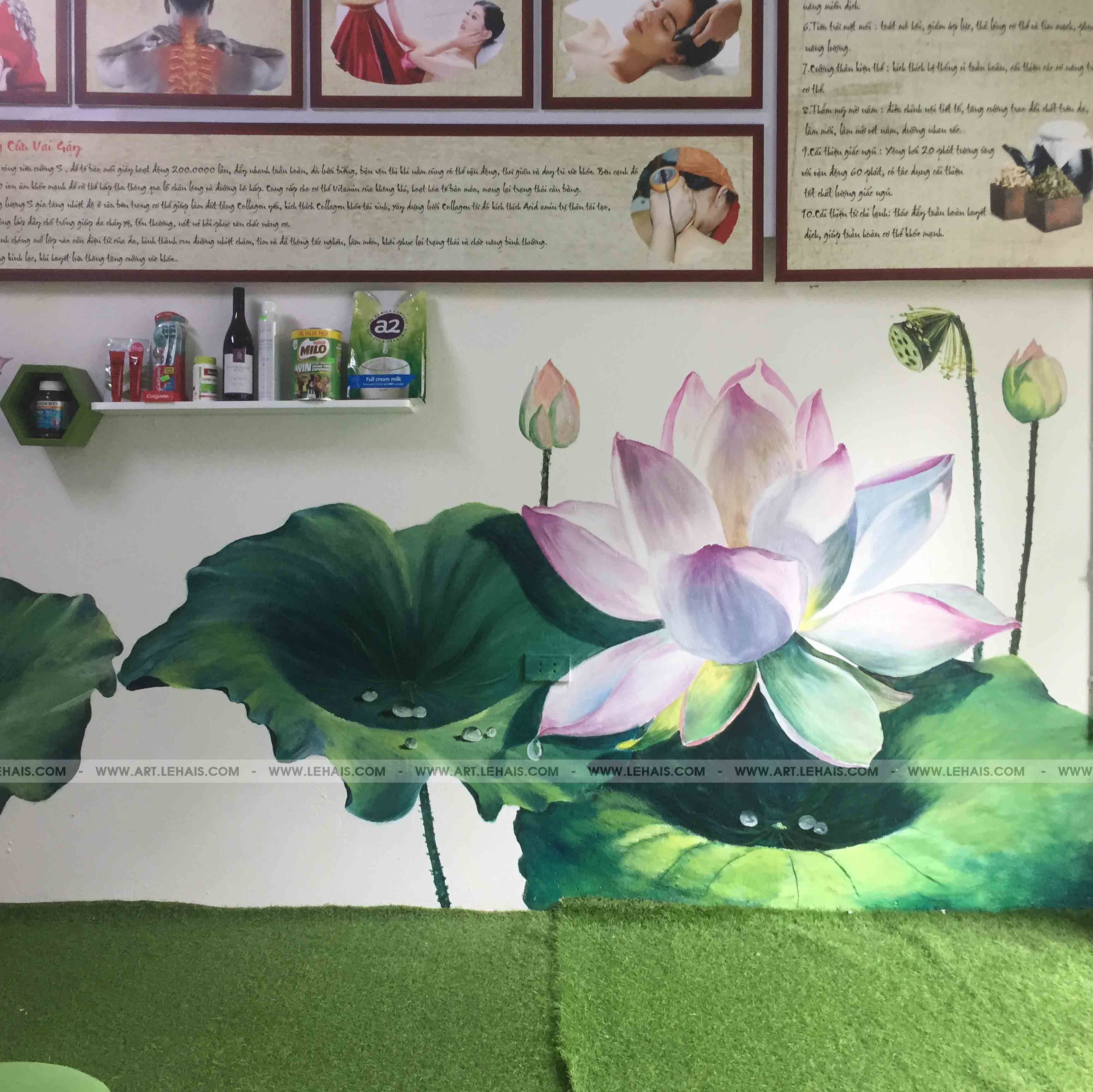Vẽ tranh hoa sen 3D tại Spa Miêu Châu, Lạc Trung, Hà Nội - TT168LHAR